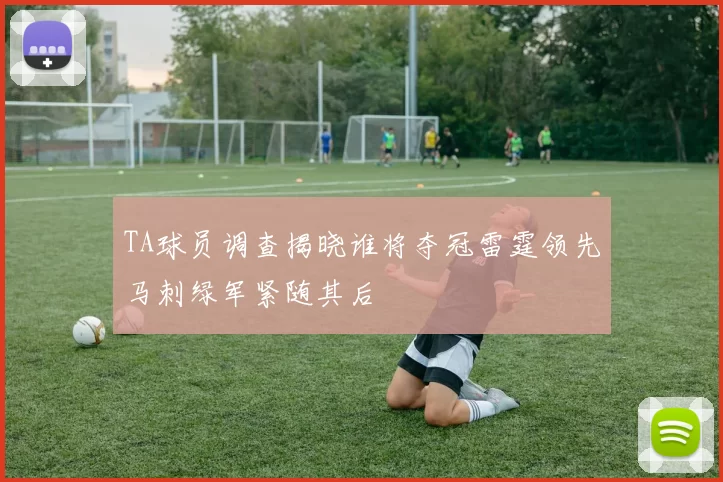 TA球员调查揭晓谁将夺冠雷霆领先马刺绿军紧随其后